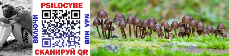 Псилоцибиновые грибы GOLDEN TEACHER  что такое   МЕГА ссылки  Райчихинск 